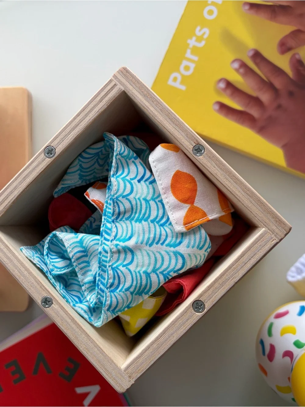 Lovevery Kit - The Senser Play Kit 5-6 Months